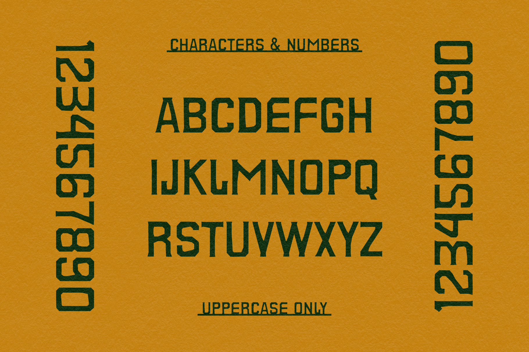 City Champs - Classic Sporty Font