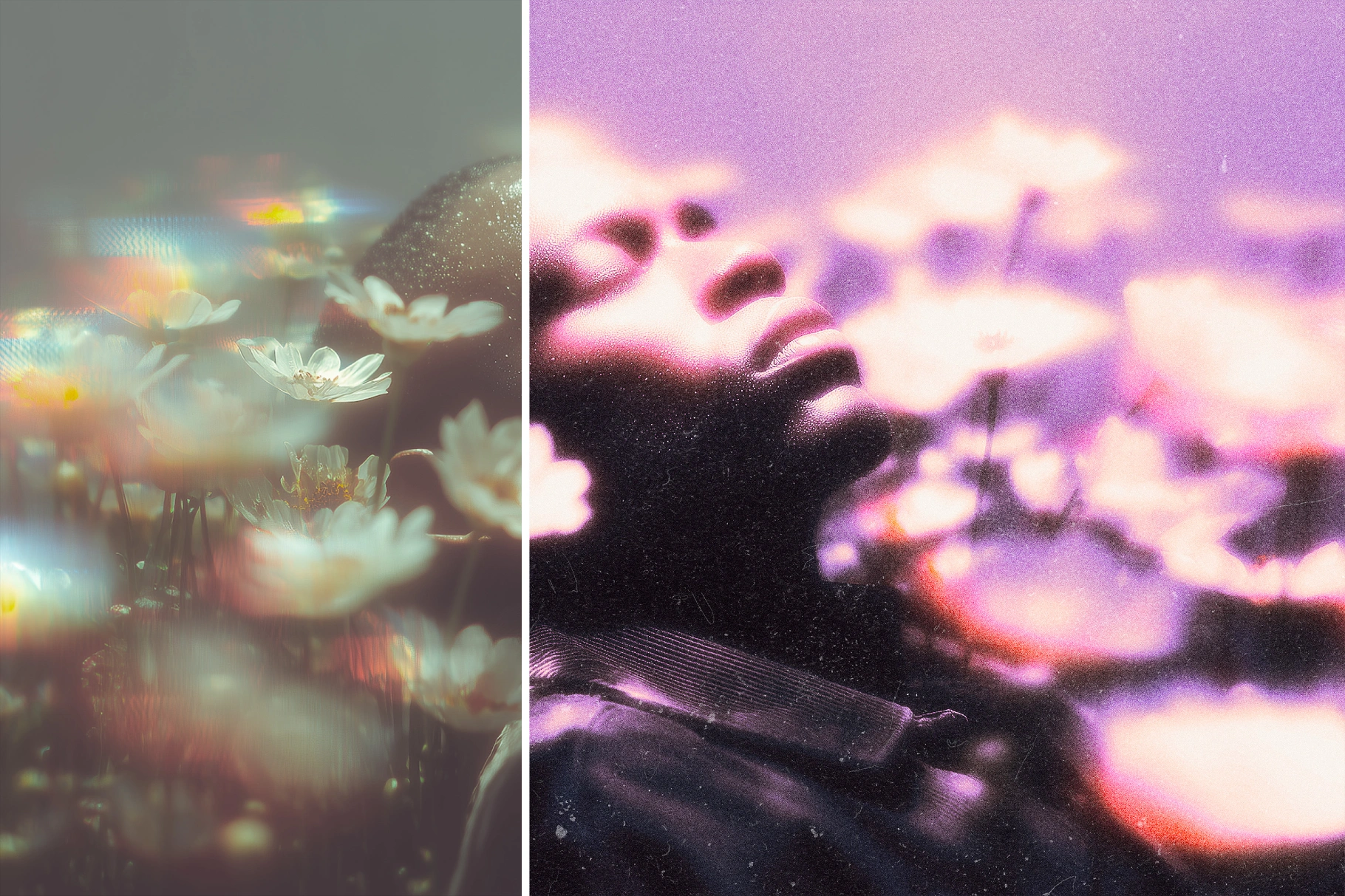 Purple Grain Glow Effect