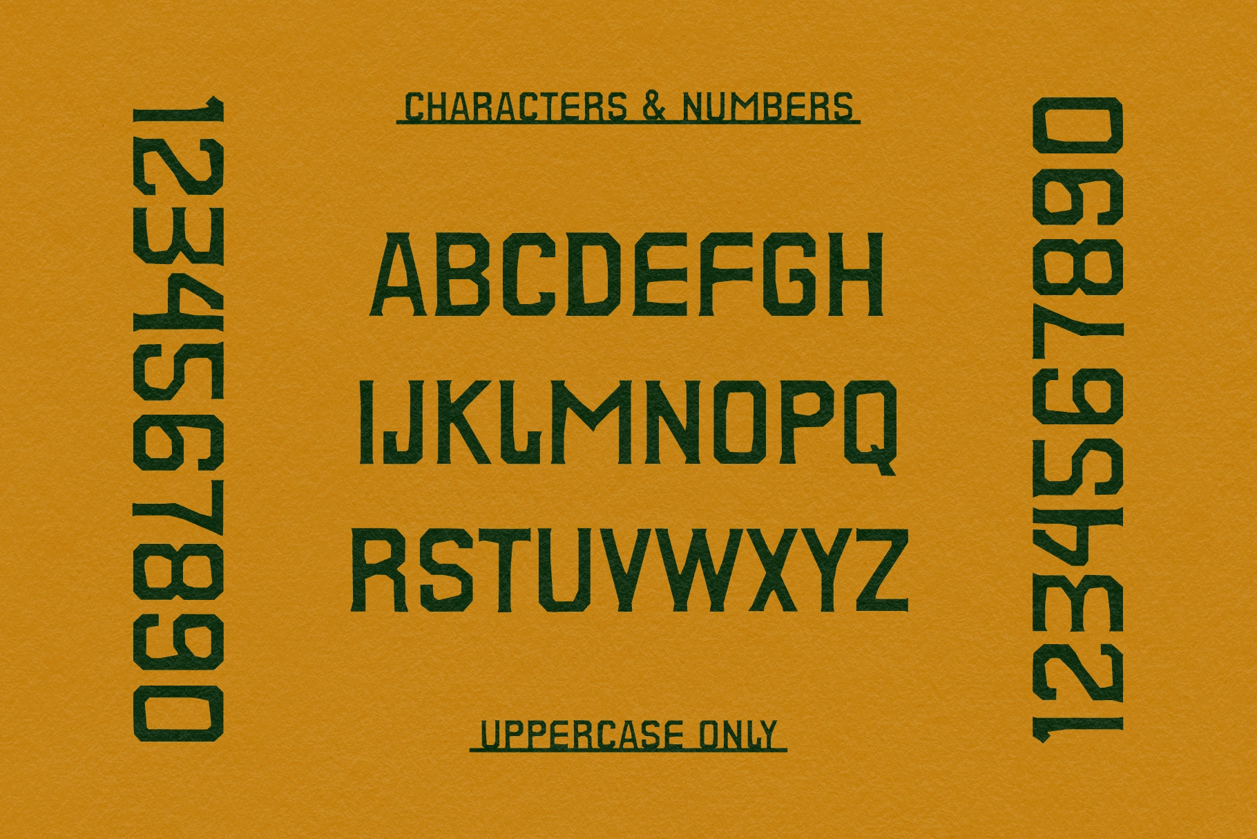 City Champs - Classic Sporty Font