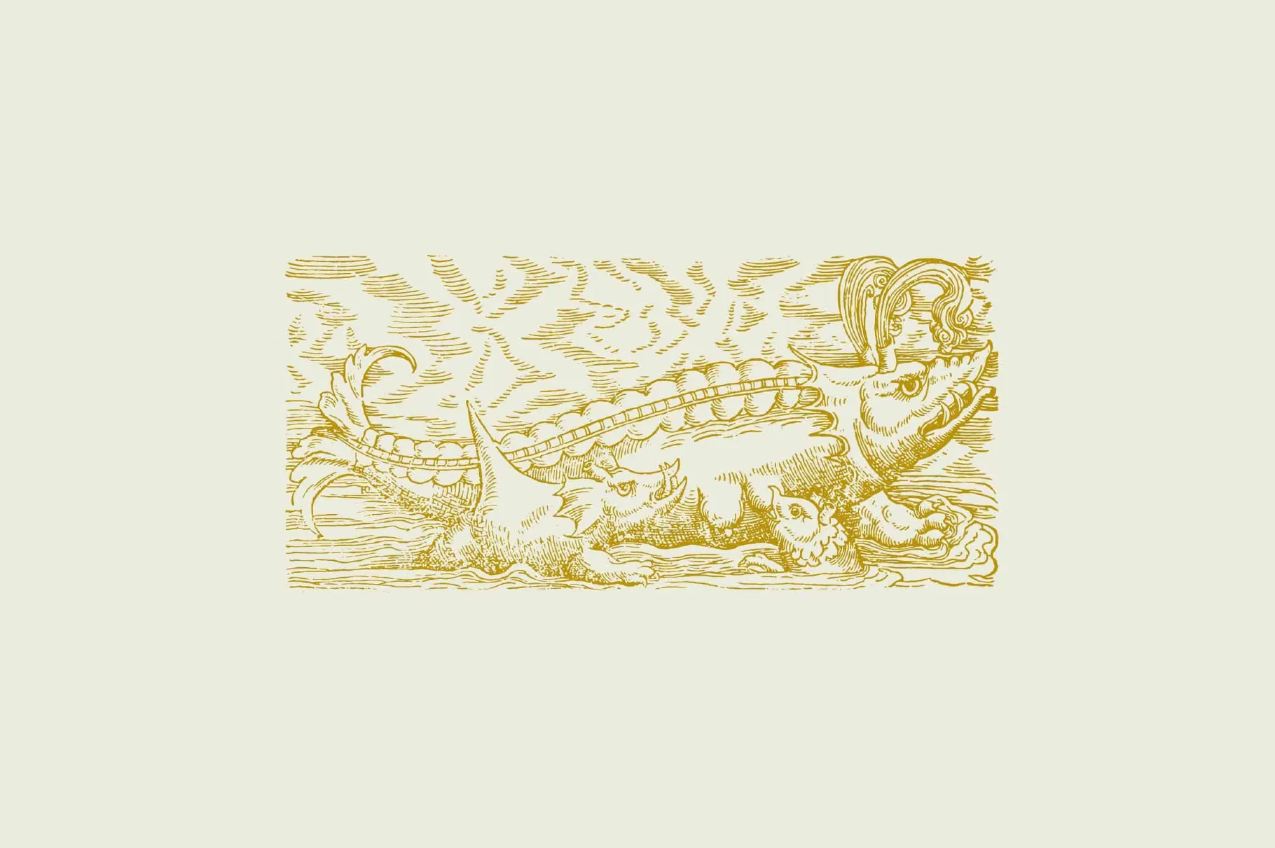 Whales & Sharks Illustrations