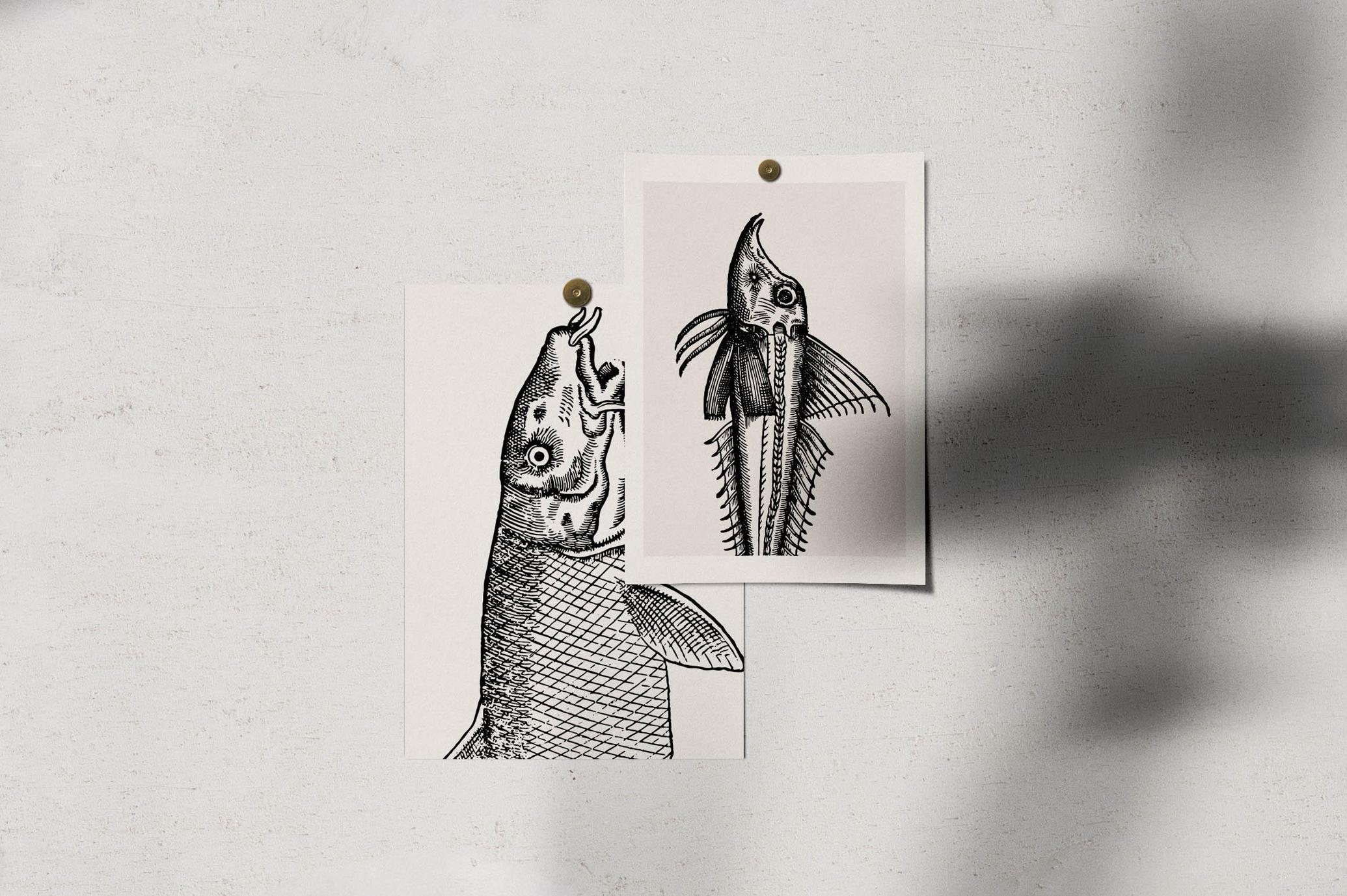 A Renaissance Field Guide to Fish