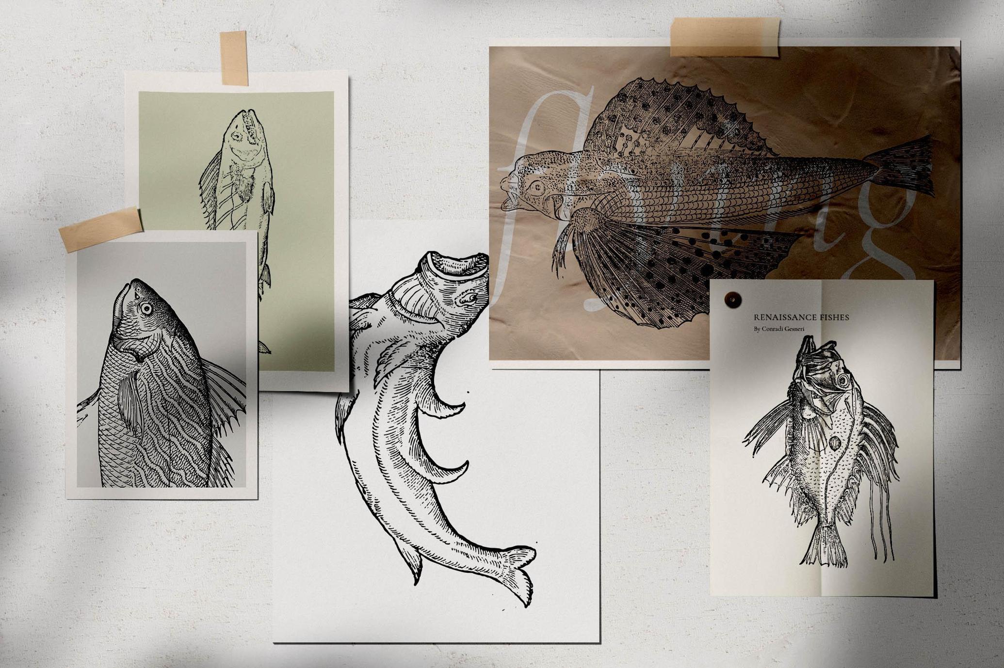 A Renaissance Field Guide to Fish