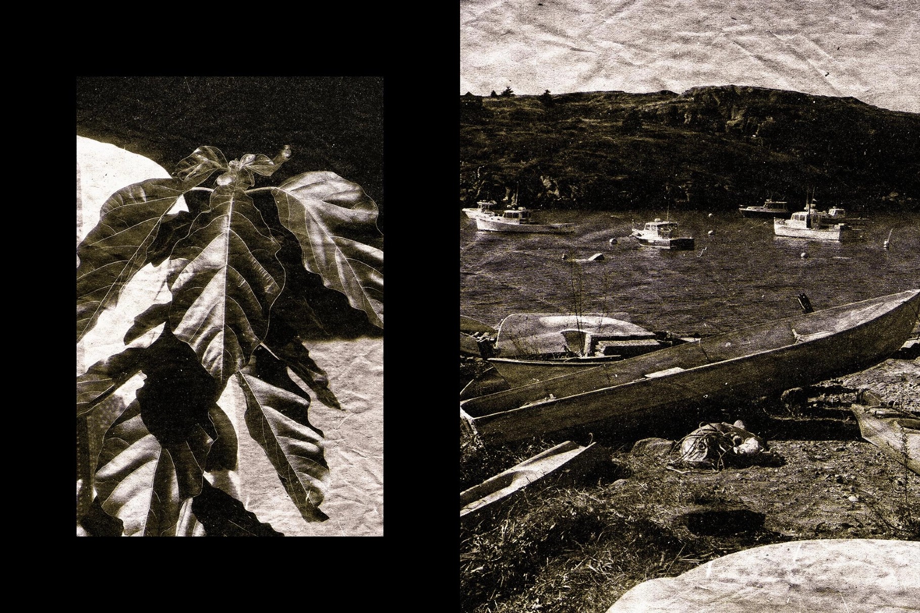 Retro Copier Photo Effect