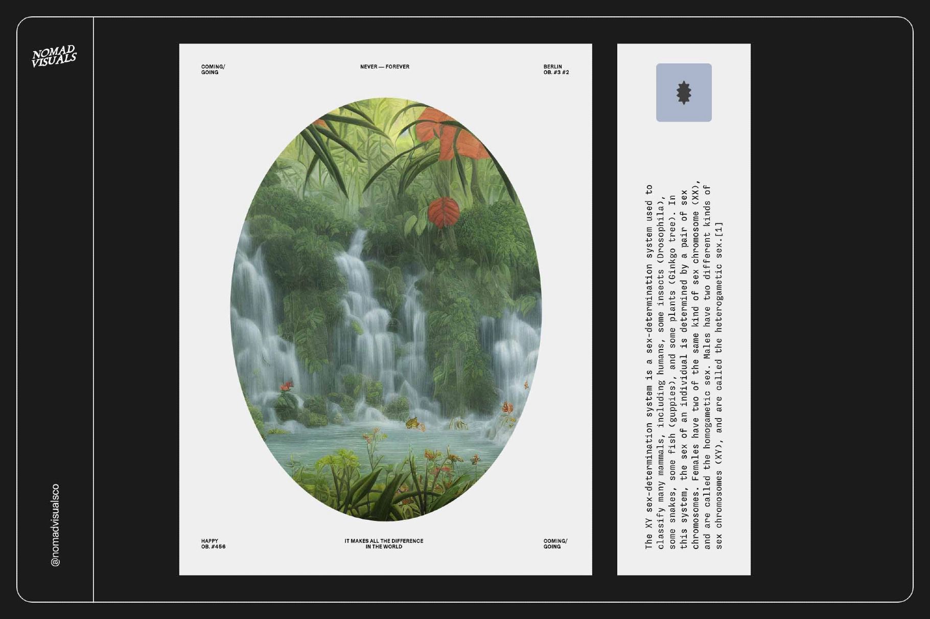 Rainforest Waterfall Dream