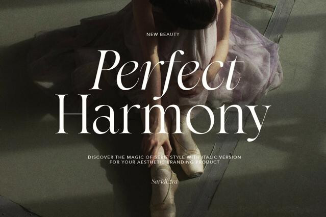 Perfect Harmony - Aesthetic Serif