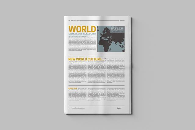 Newspaper Mockups