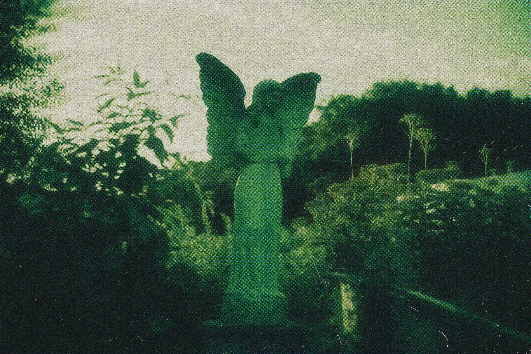 Greenish Postcard Photo Effect