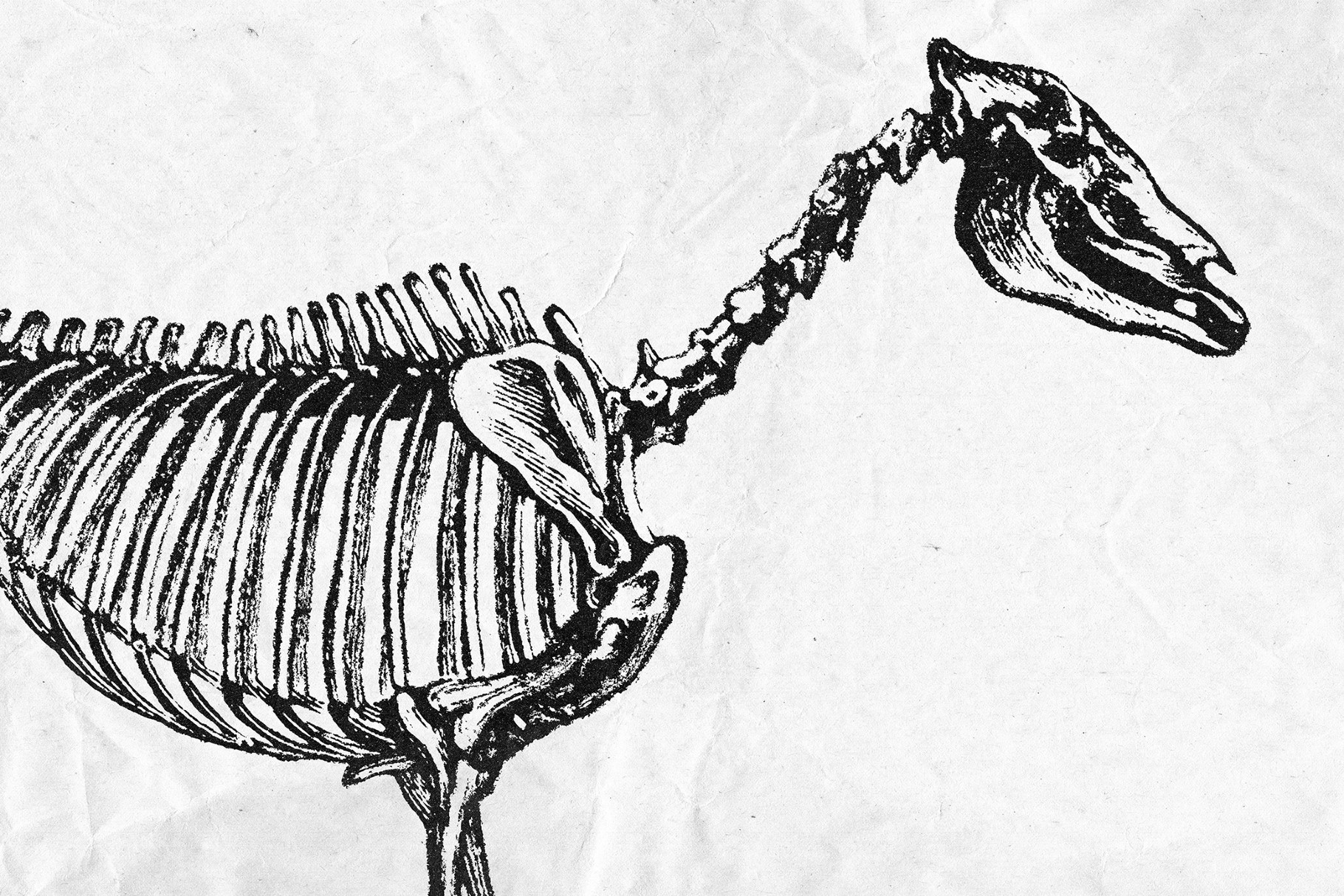 Stamp Ink Print Effect