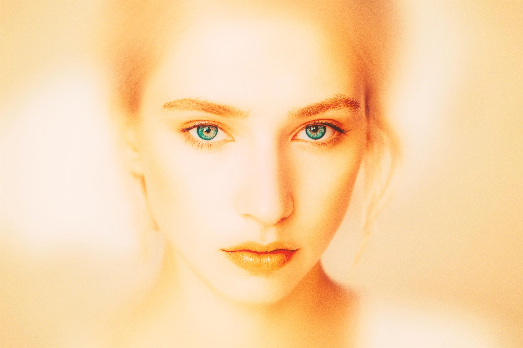 Golden Soft Focus Photo Effect