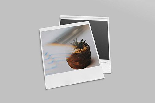 Download Polaroid Photo Mockup Set Download Psd Template