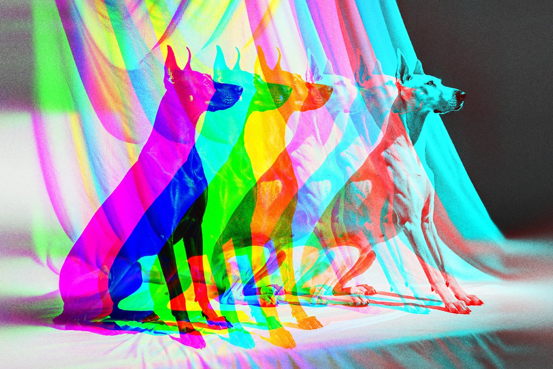 Anaglyph Photo Effect