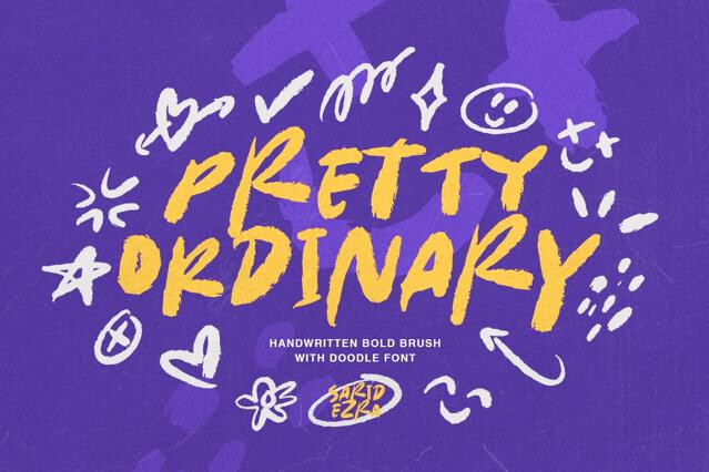 Pretty Ordinary - Bold Font + Doodle