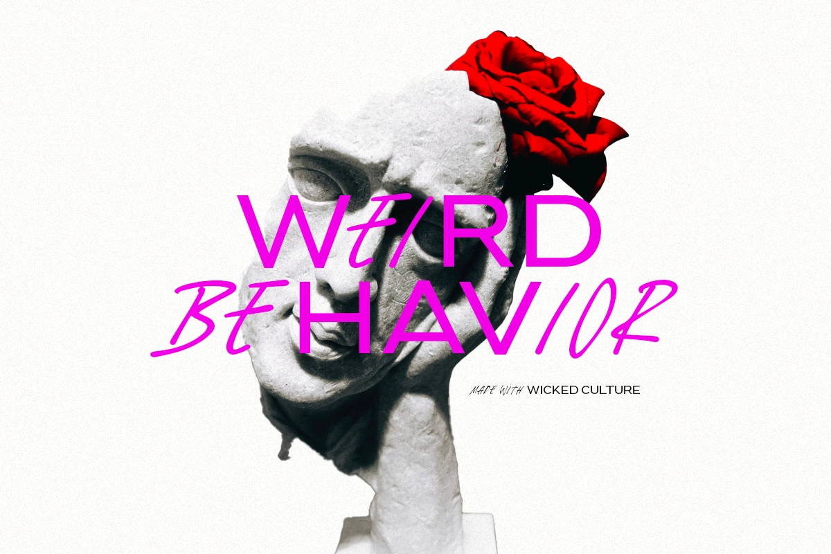 Wicked Culture - 2 IN 1 FONT