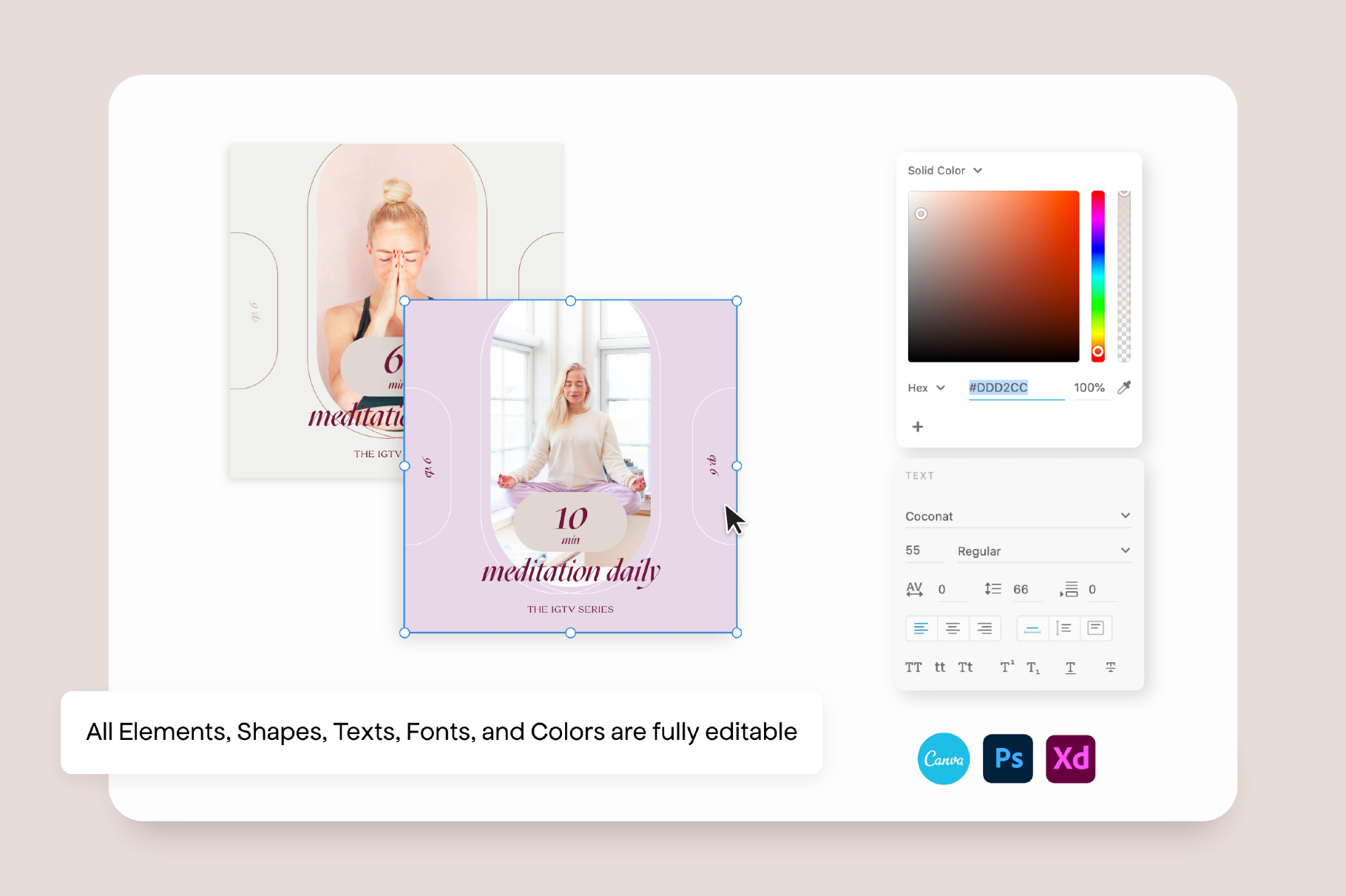 Wellness Social Media Kit CANVA PS