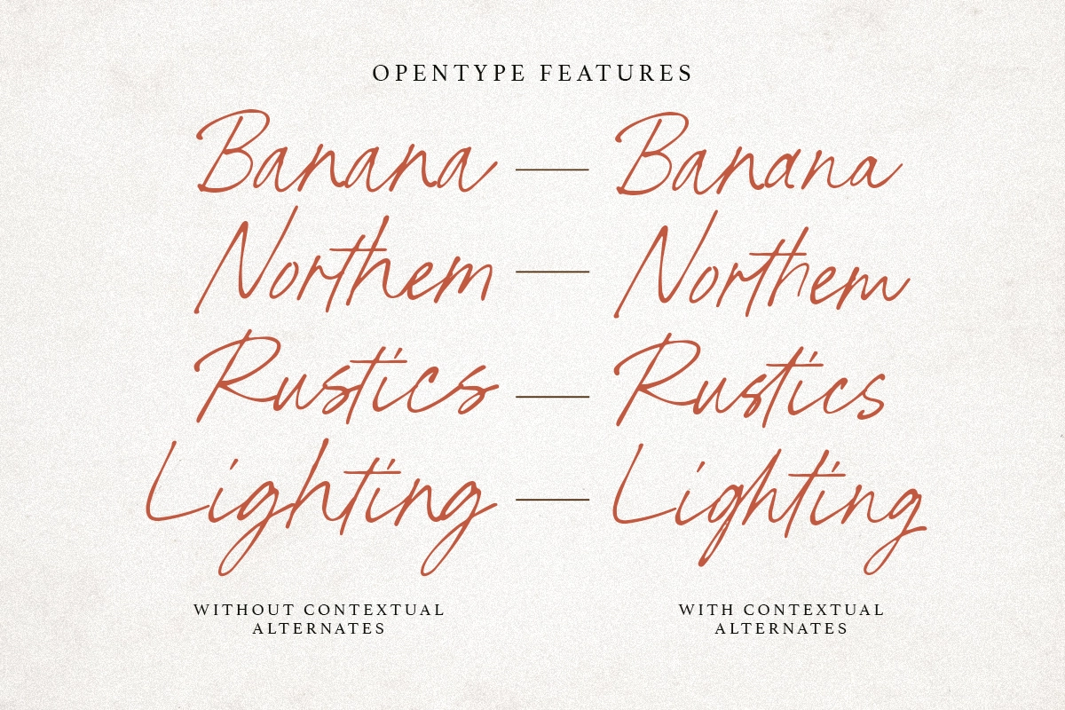 North Stains - Minimalist Script