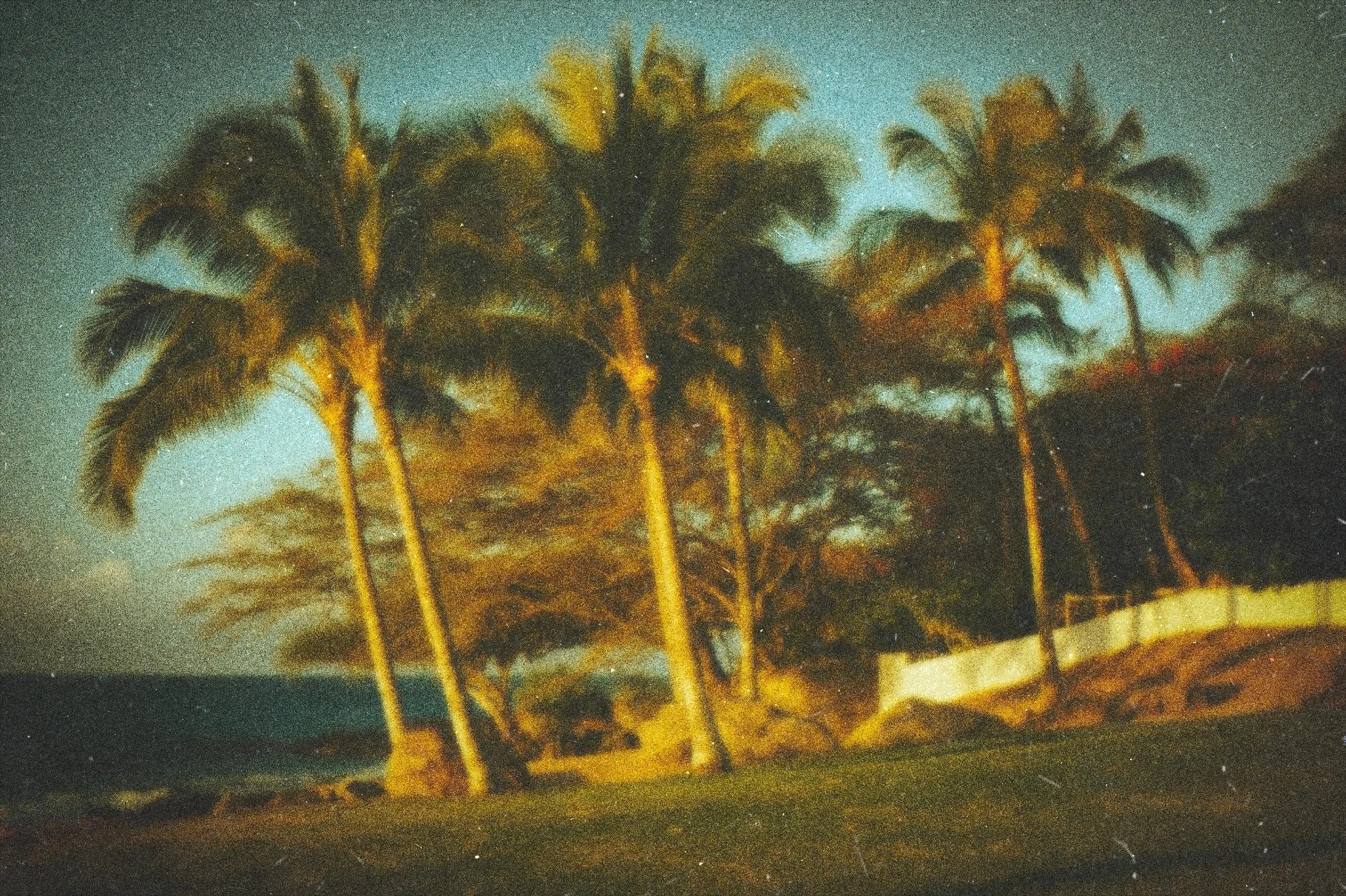 Nostalgic Film Photo Effect