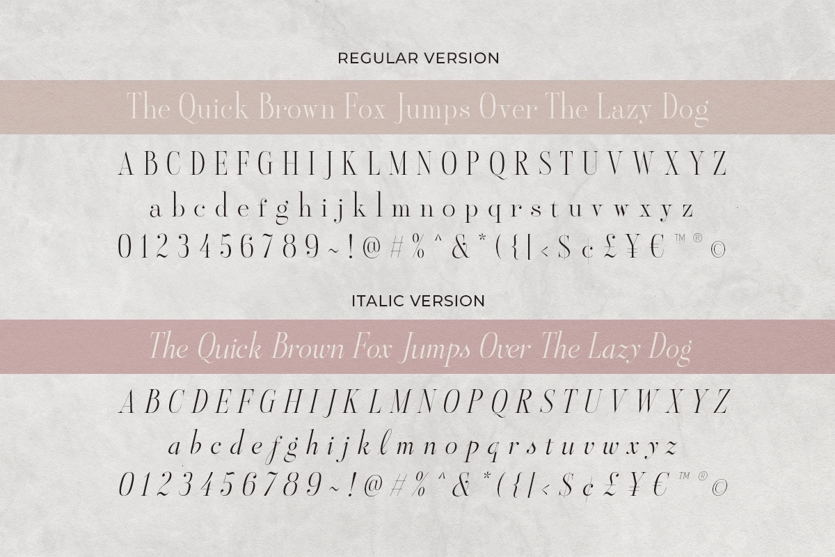 Aesthetic Styles - Tall Serif