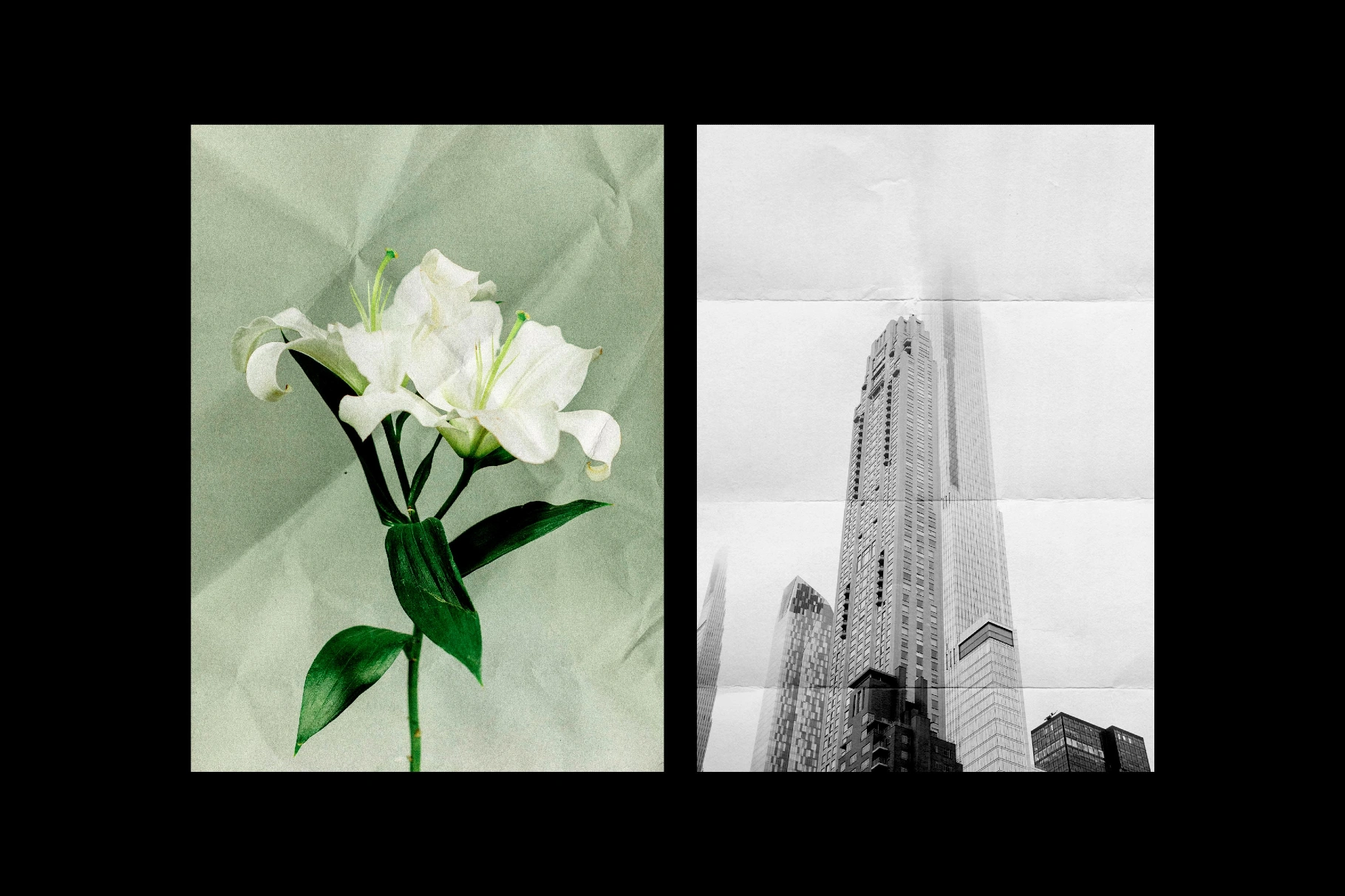 Wrinkled & Folded Papers Collection