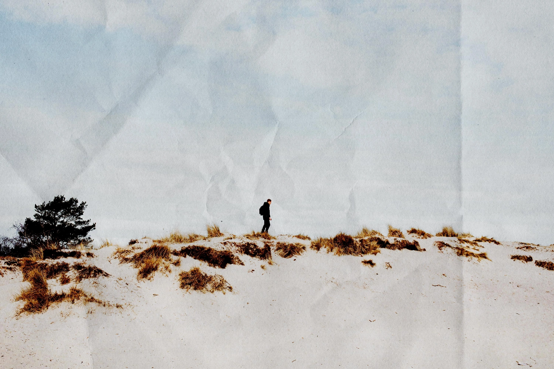 Wrinkled & Folded Papers Collection