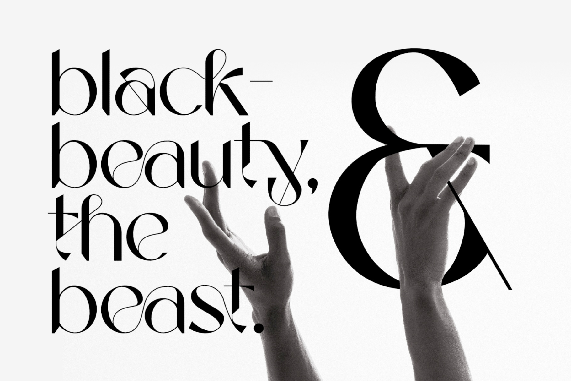 Wonderglast - Stylist Sans