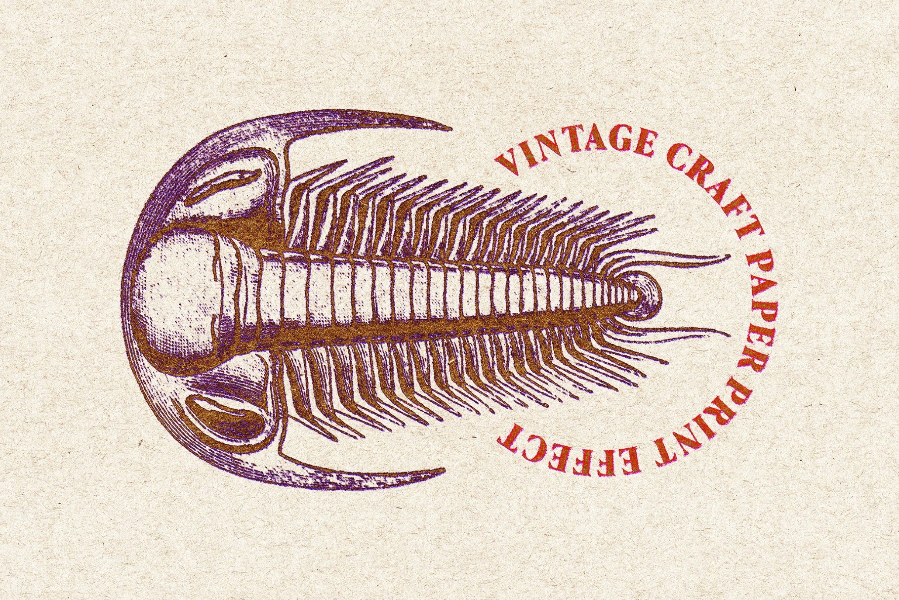 Vintage Grunge Print Effect