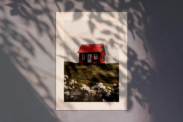 Botanical Shadow Poster Mockup