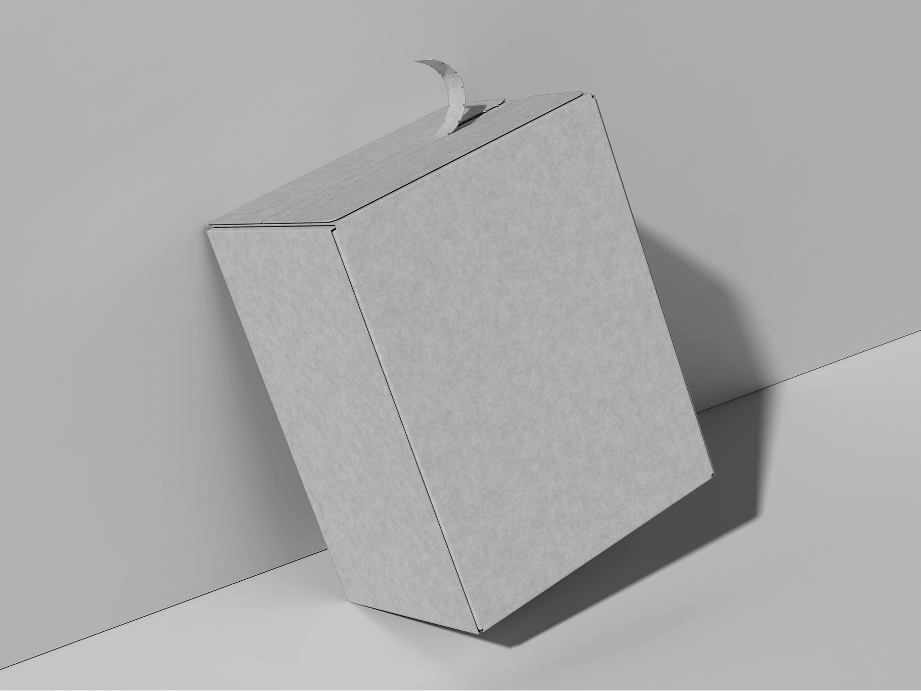 Cardboard Box Mockup
