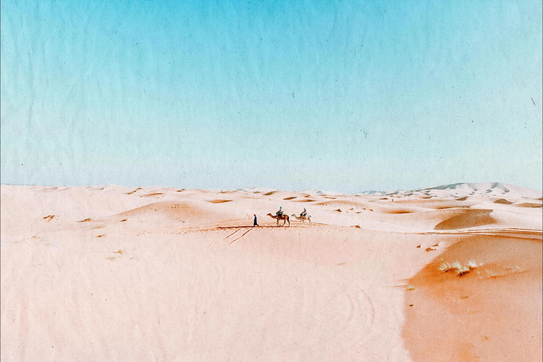 The White: Papers Collection