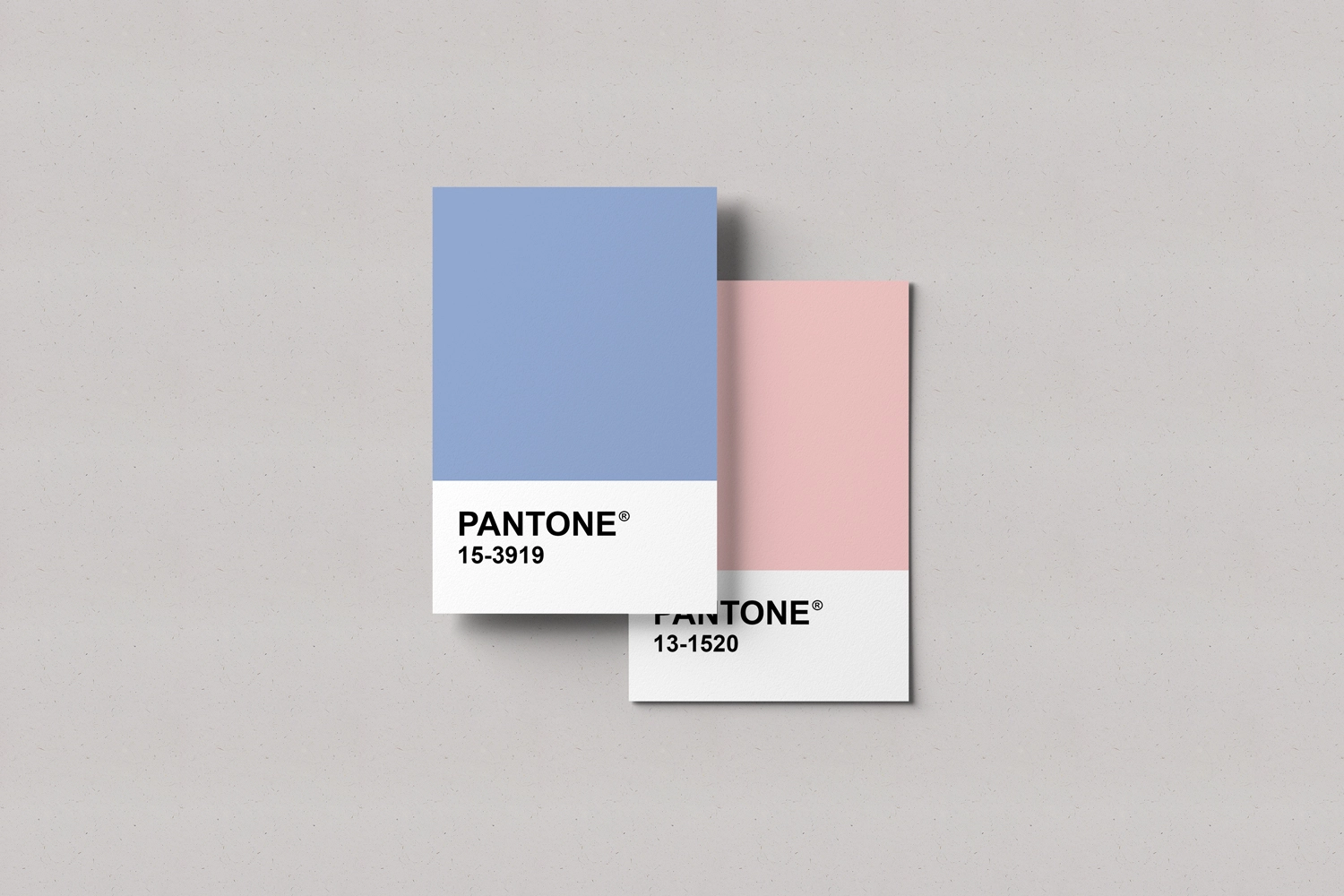 Pantone Card Mockups