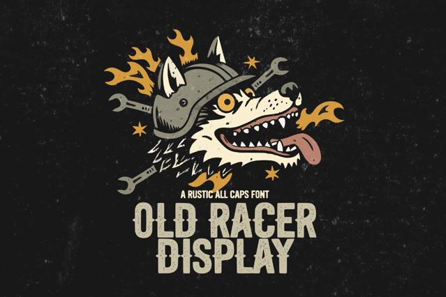 Old Racer Display
