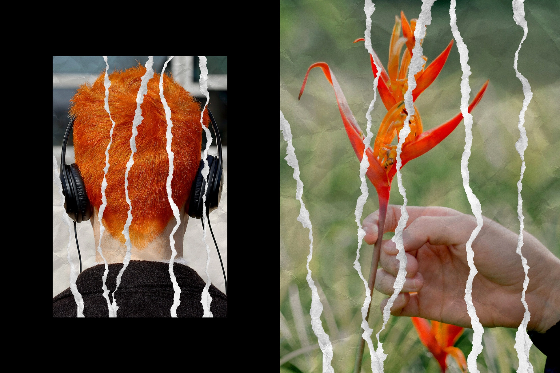 Ripped Collage Paper Photo Effect