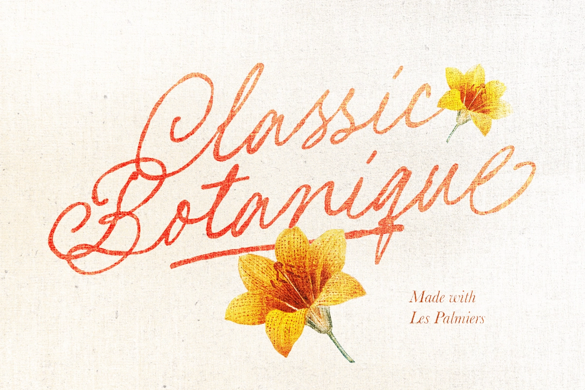 Les Palmiers - Handwritten Script