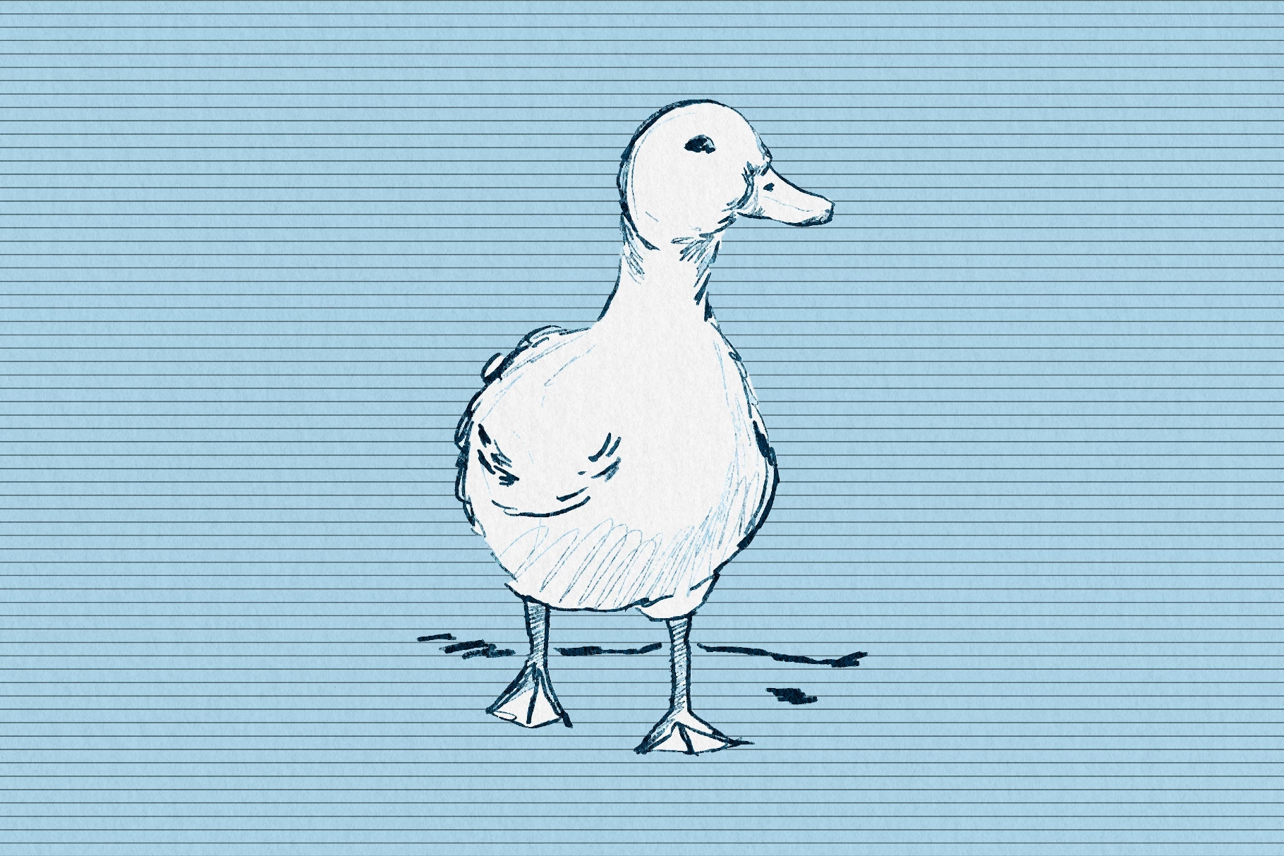 Basic Grids Collection