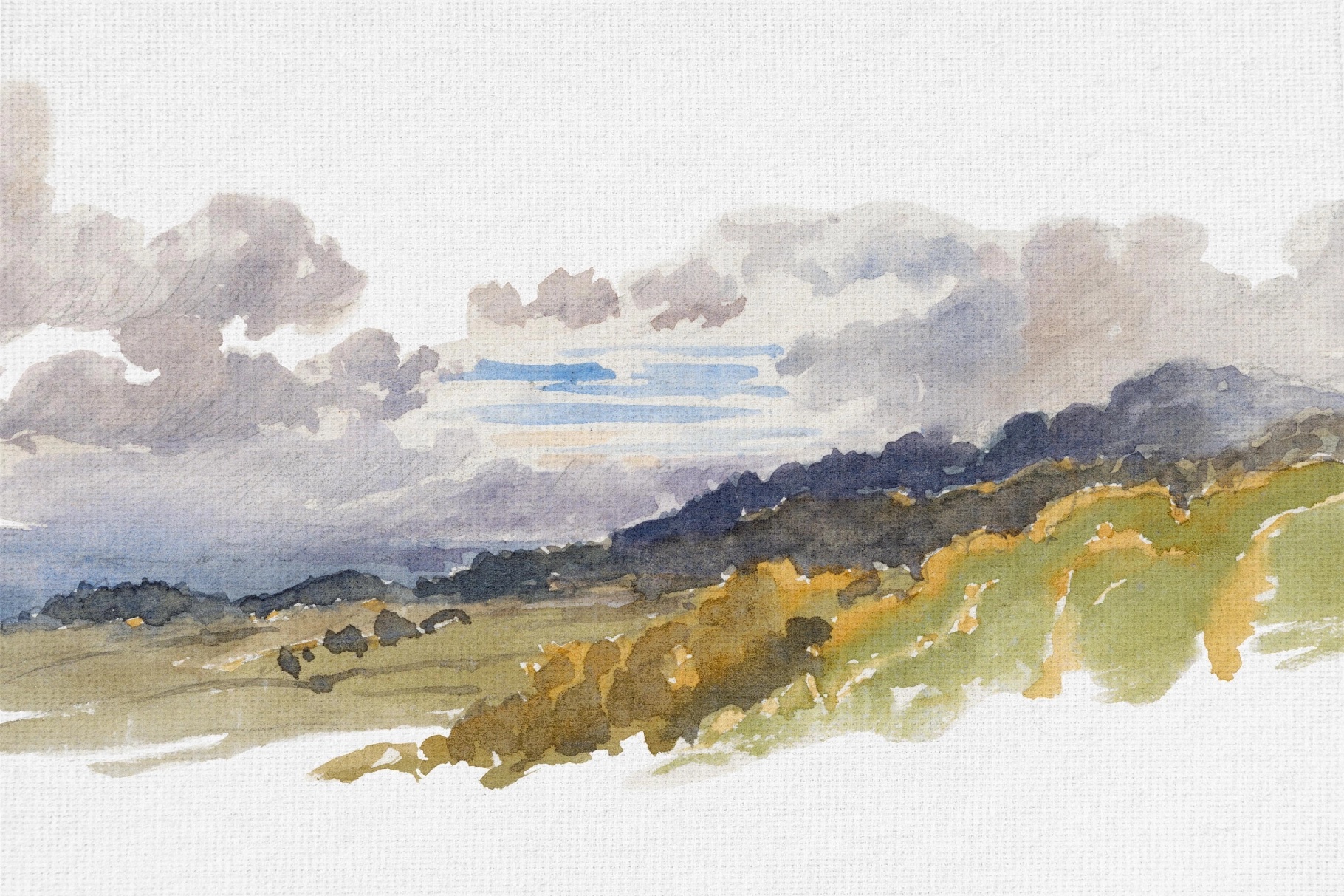 White Canvas Textures