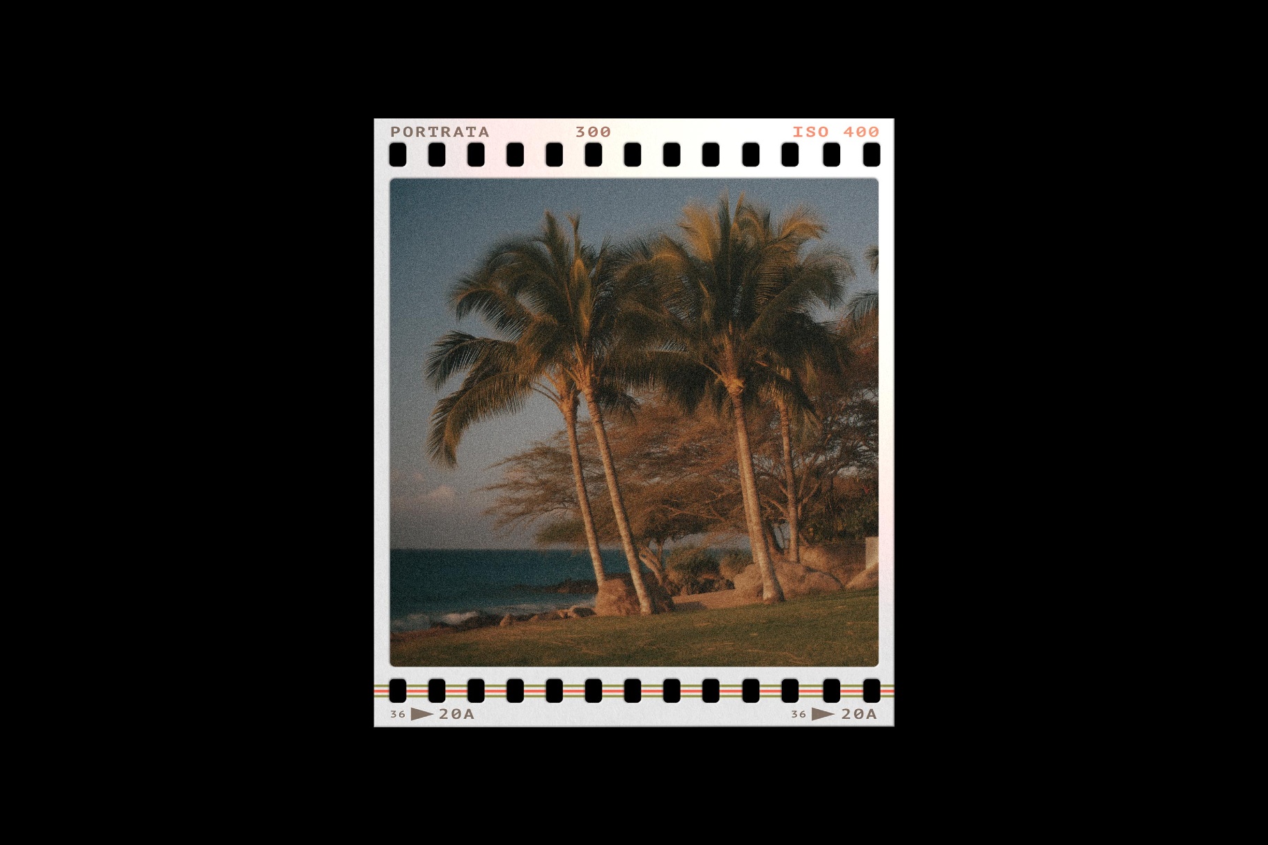 Film Frames Collection: PSD & PNG Overlays