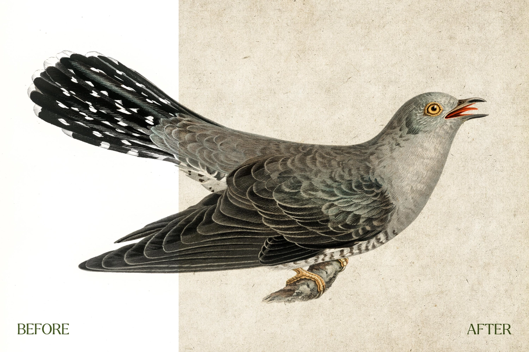 Vintage Paper Textures