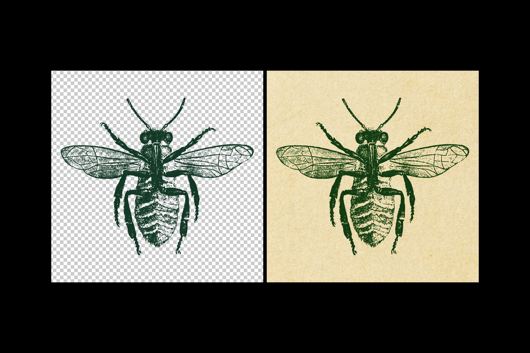 Vintage Paper Textures