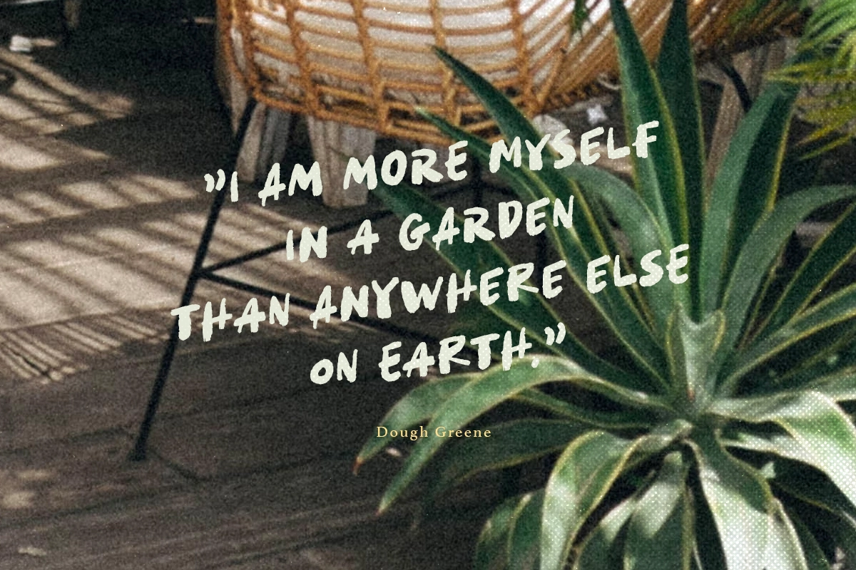 Tropical Times + Leaves Illustration