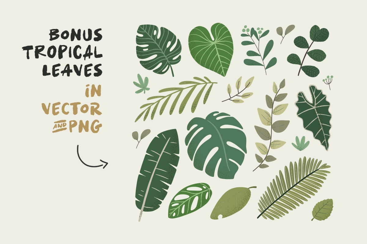 Tropical Times + Leaves Illustration