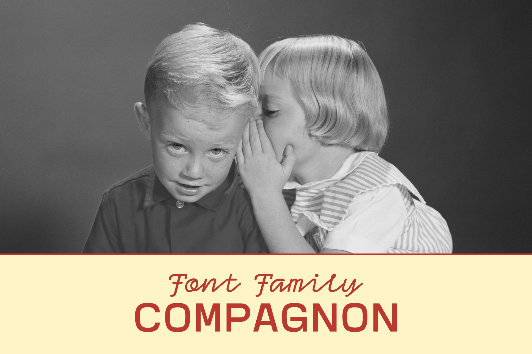 Compagnon Font Family