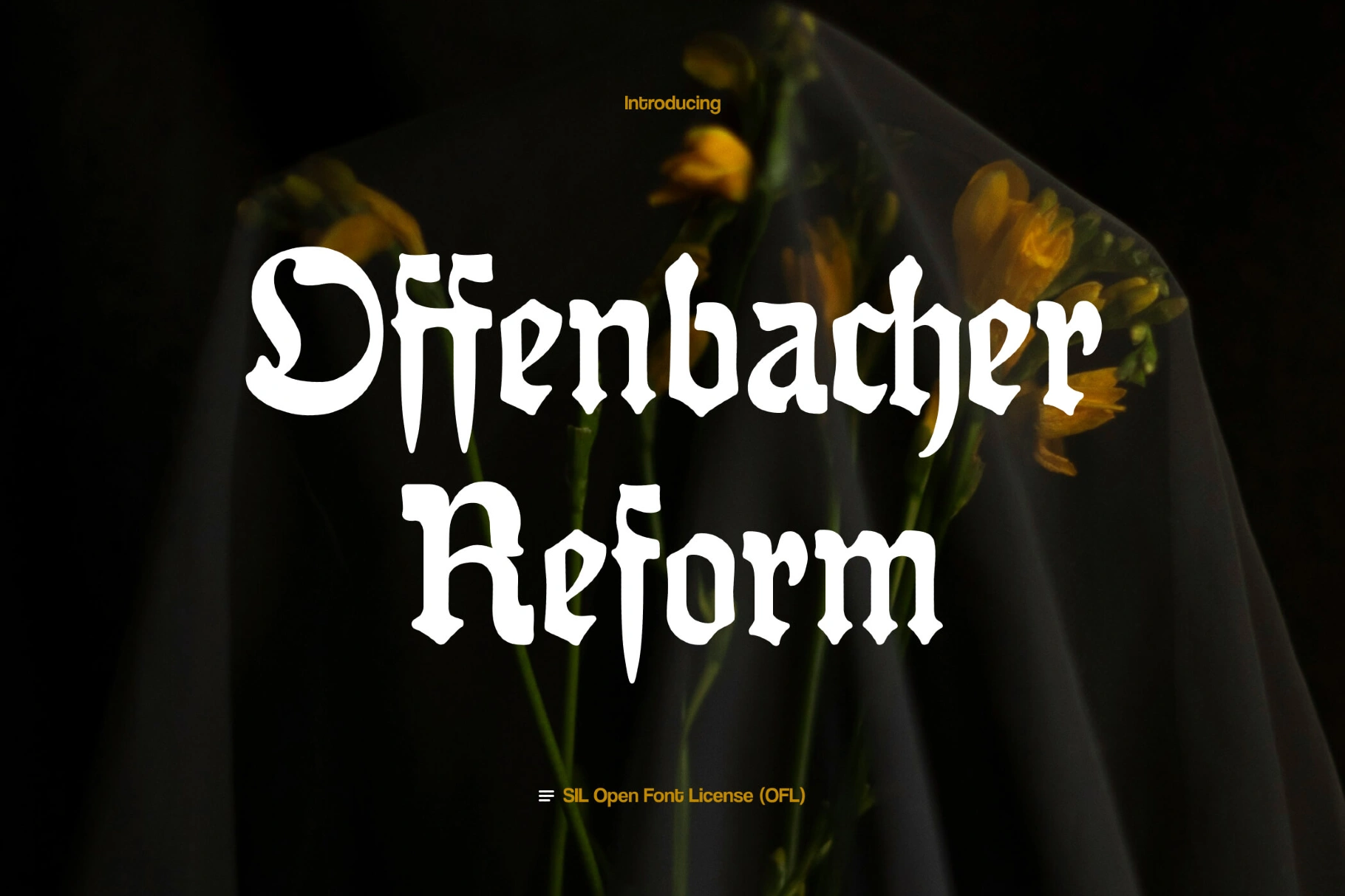 Offenbacher Reform Gothic Font