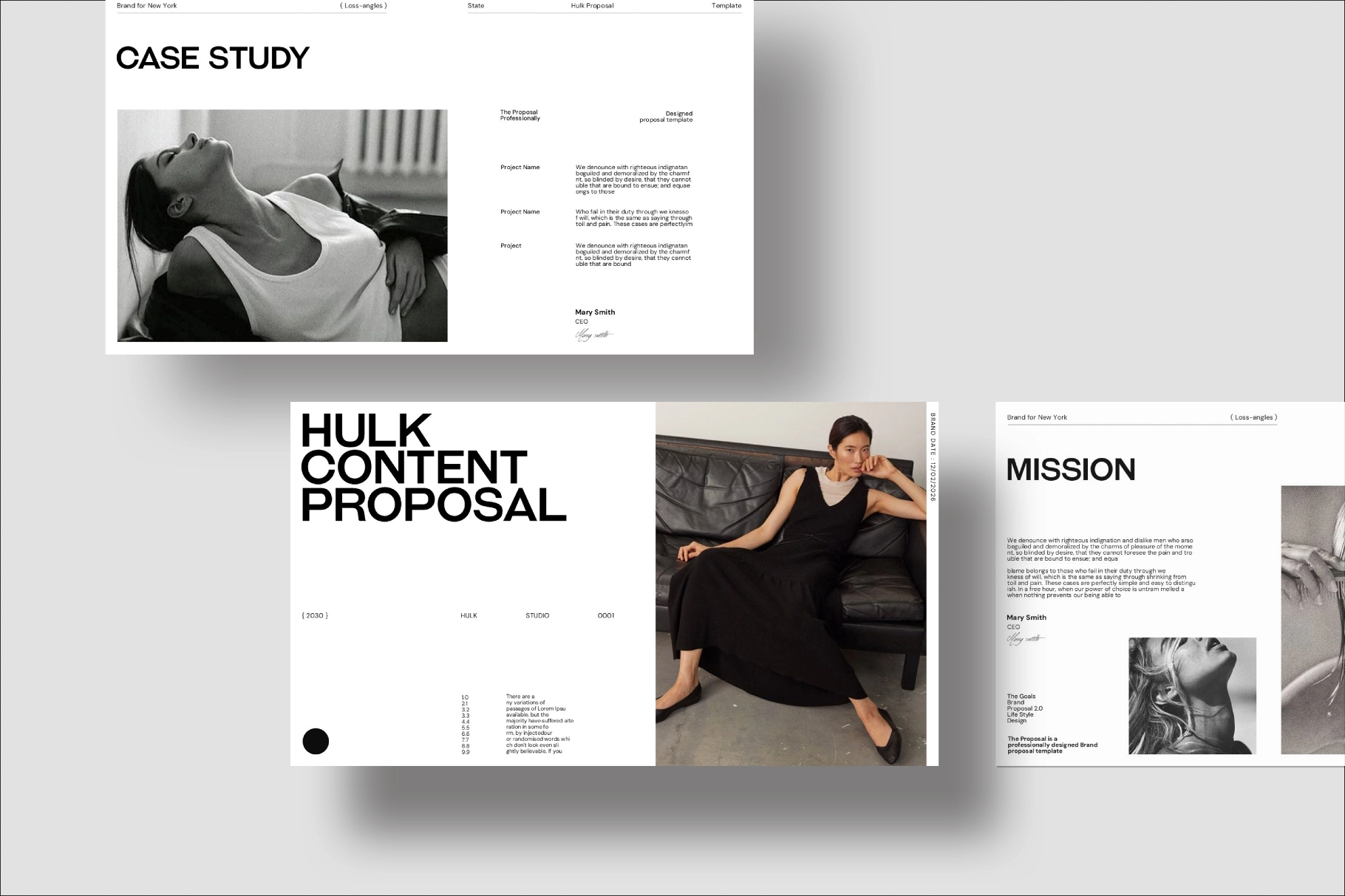 HULK/Content Proposal Presentation Template