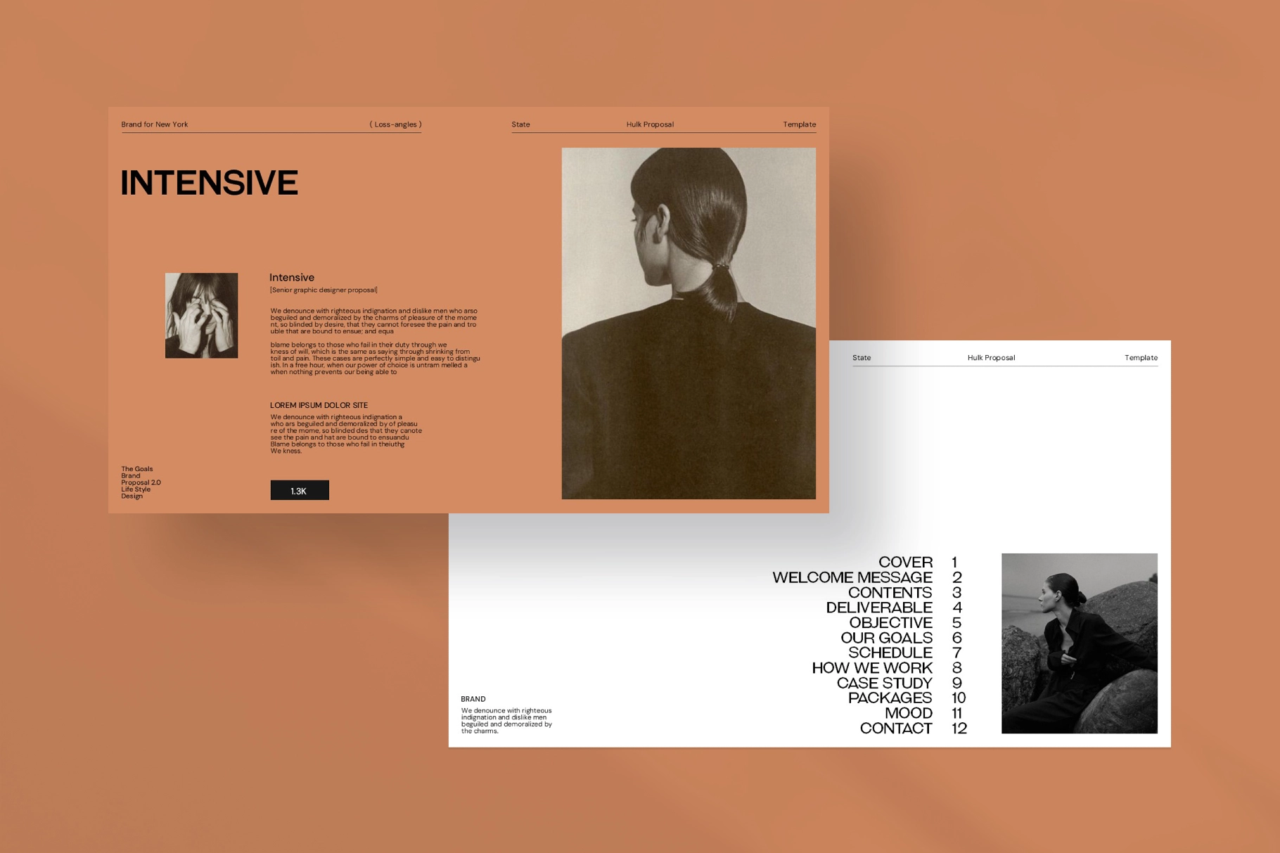 HULK/Content Proposal Presentation Template