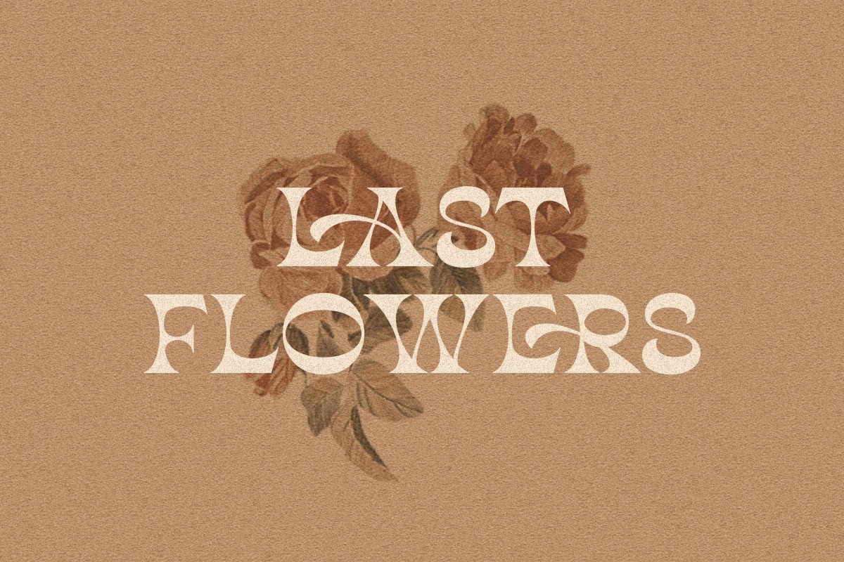 Quick Remarks - Reverse Serif