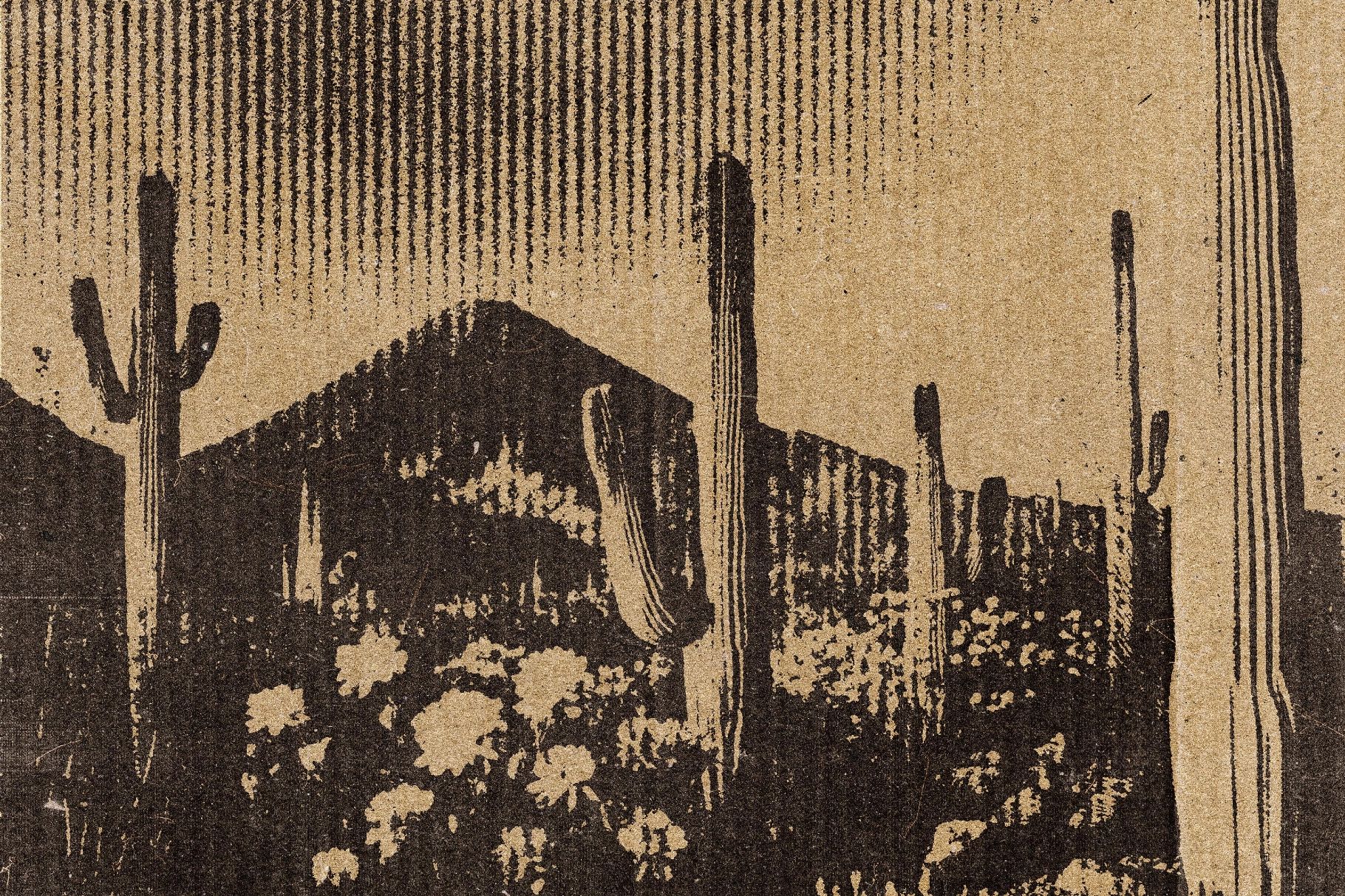 Cardboard Line Photo Print