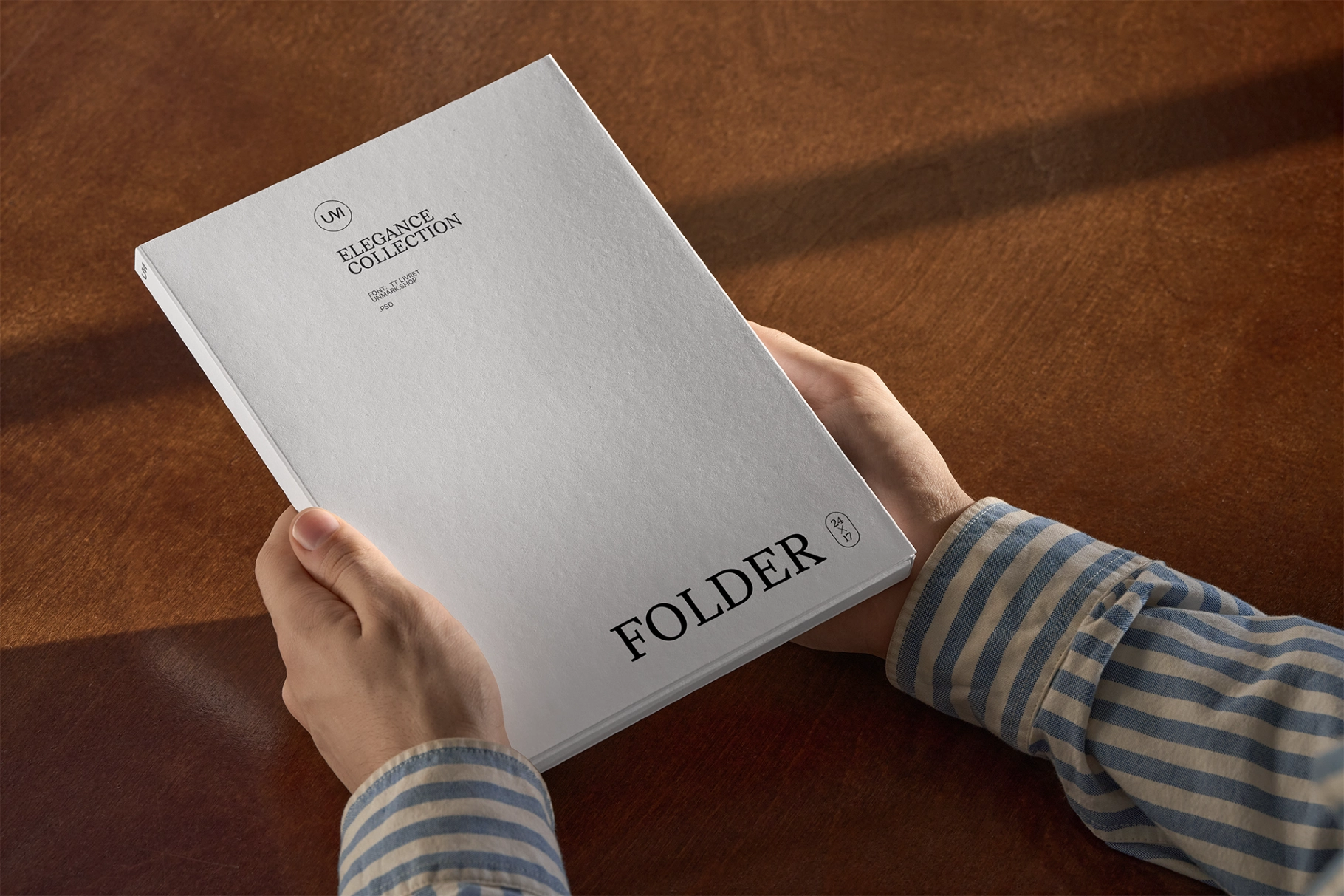 Elegant Folder Mockup