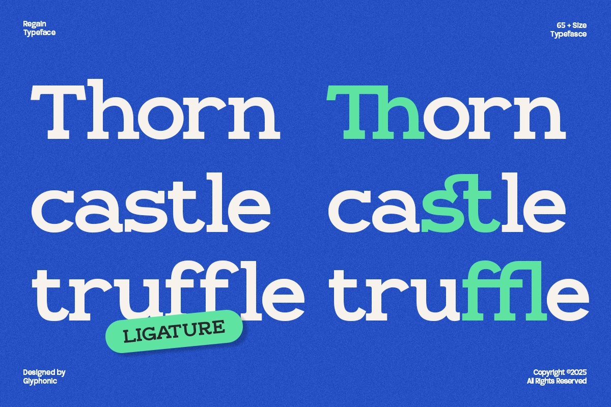 GC Regain - Display Bold Slab Serif