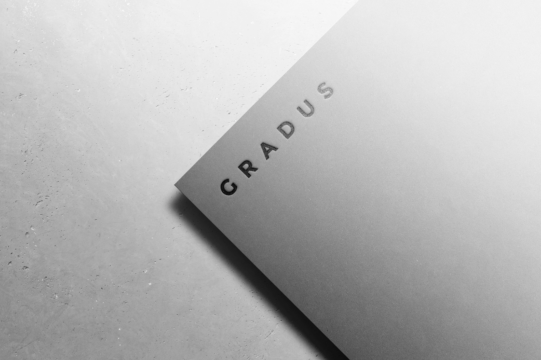 Diagonal Card Logo Mockup