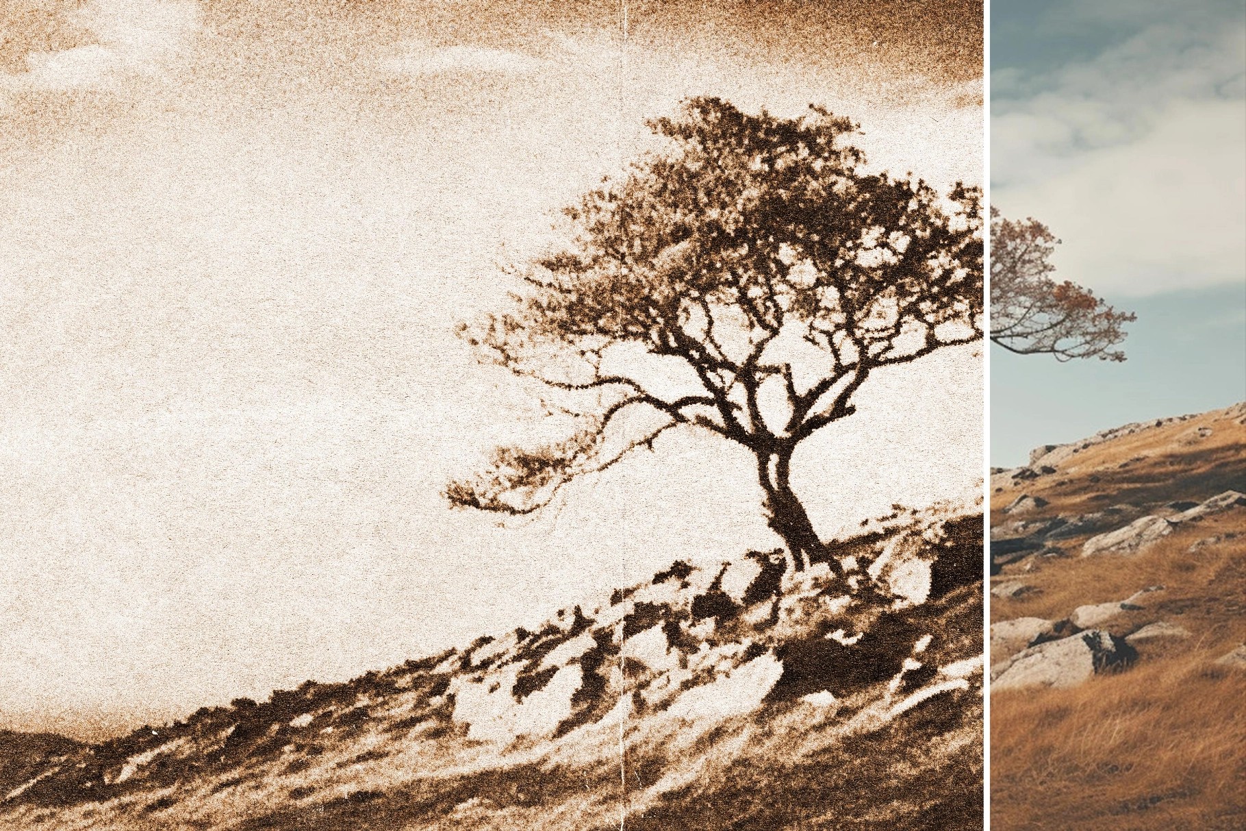 Vintage Photo Printer Effect