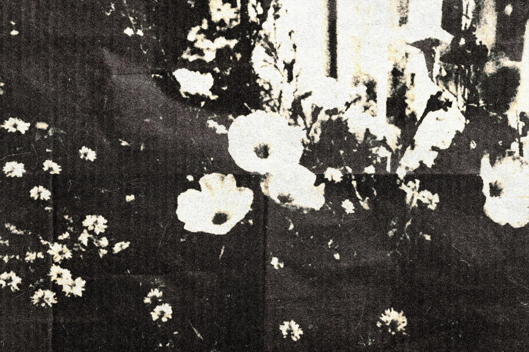 Dark Chamber Photo Print